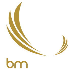 Logo BM Tours